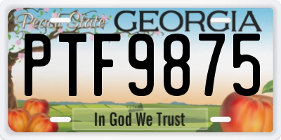 GA license plate PTF9875