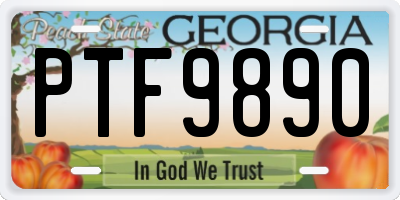 GA license plate PTF9890