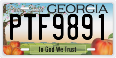 GA license plate PTF9891