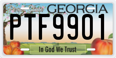GA license plate PTF9901