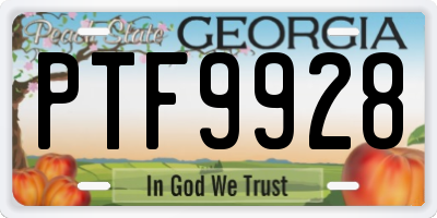 GA license plate PTF9928