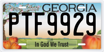 GA license plate PTF9929