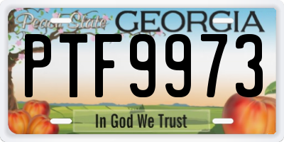 GA license plate PTF9973