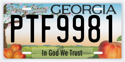 GA license plate PTF9981
