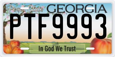 GA license plate PTF9993