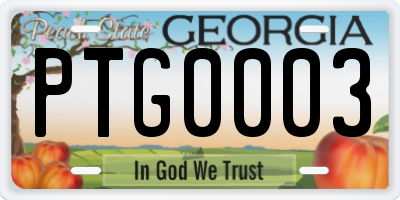 GA license plate PTG0003