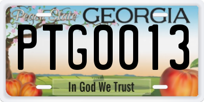 GA license plate PTG0013