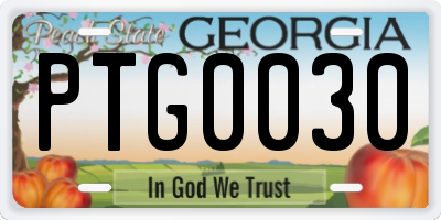 GA license plate PTG0030