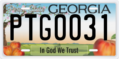GA license plate PTG0031