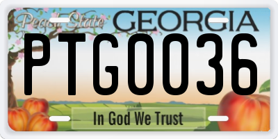 GA license plate PTG0036