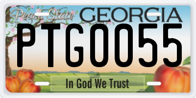 GA license plate PTG0055