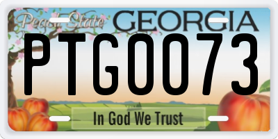 GA license plate PTG0073