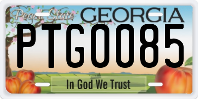 GA license plate PTG0085