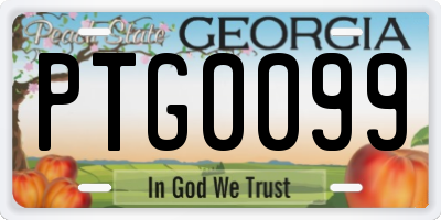 GA license plate PTG0099