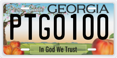 GA license plate PTG0100