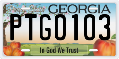 GA license plate PTG0103