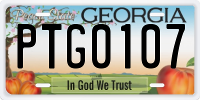 GA license plate PTG0107