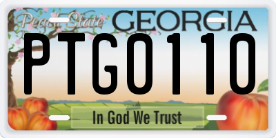 GA license plate PTG0110