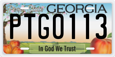 GA license plate PTG0113