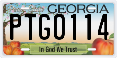 GA license plate PTG0114