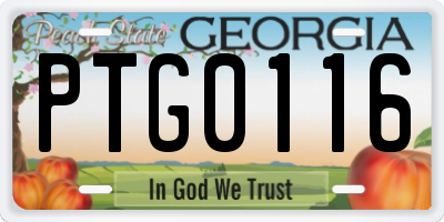 GA license plate PTG0116