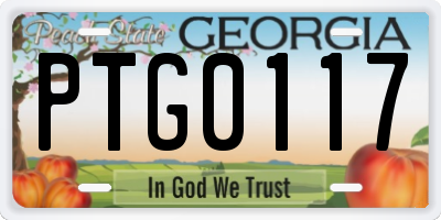 GA license plate PTG0117