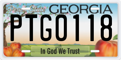 GA license plate PTG0118