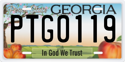 GA license plate PTG0119