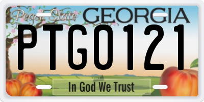 GA license plate PTG0121