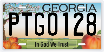 GA license plate PTG0128