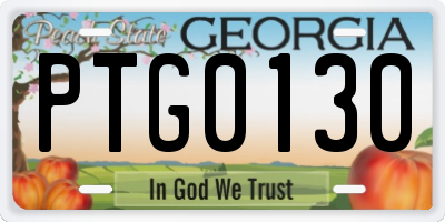 GA license plate PTG0130