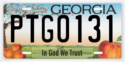 GA license plate PTG0131