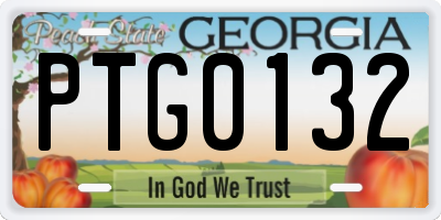 GA license plate PTG0132