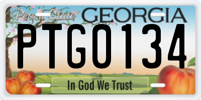 GA license plate PTG0134