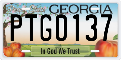 GA license plate PTG0137