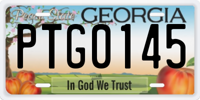 GA license plate PTG0145