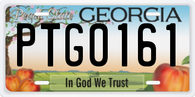 GA license plate PTG0161