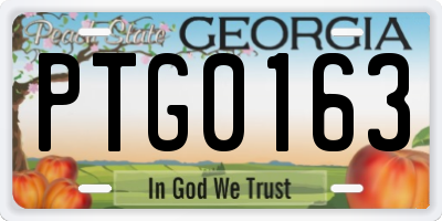 GA license plate PTG0163