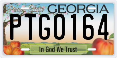 GA license plate PTG0164