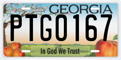 GA license plate PTG0167