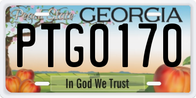 GA license plate PTG0170