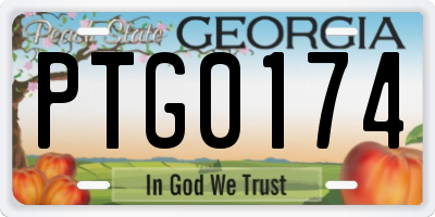 GA license plate PTG0174