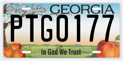 GA license plate PTG0177