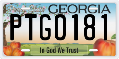 GA license plate PTG0181