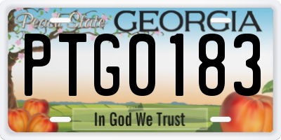 GA license plate PTG0183