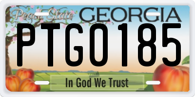 GA license plate PTG0185