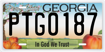 GA license plate PTG0187