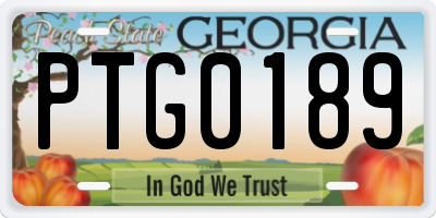 GA license plate PTG0189
