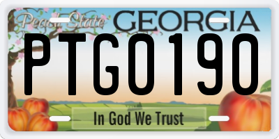 GA license plate PTG0190