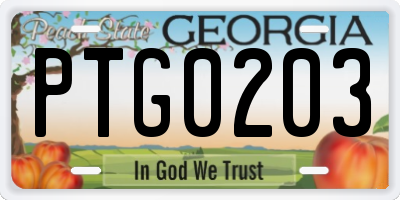 GA license plate PTG0203